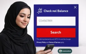 NOL Card Balance Check