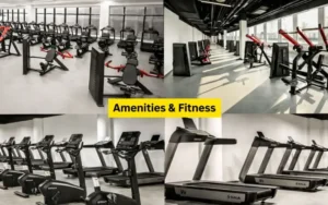 Jumeirah Village Circle