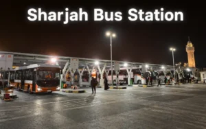 abu dhabi to sharjah bus timing