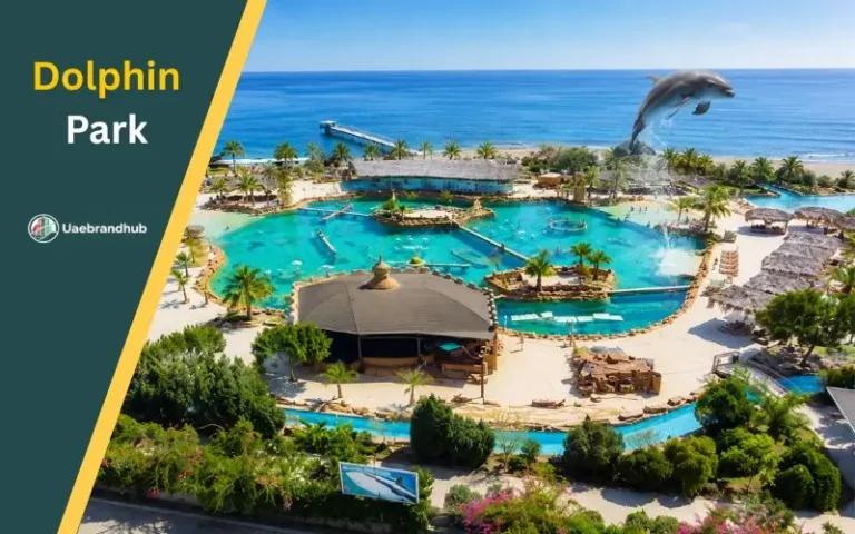 Best Family Experience at Dolphin Park – Dolphin Shows, Tickets & Fun Activities Dolphin Park