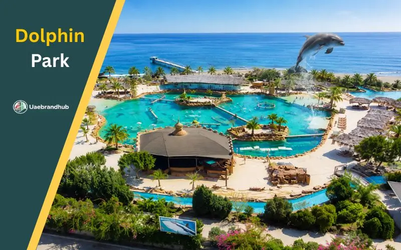 Dolphin Park