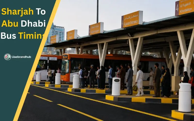 Sharjah to Abu dhabi bus timing
