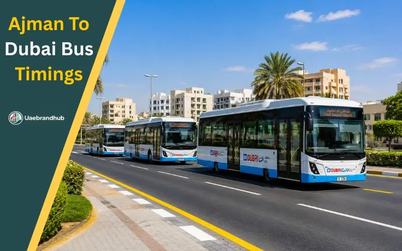 Ajman to Dubai bus timings