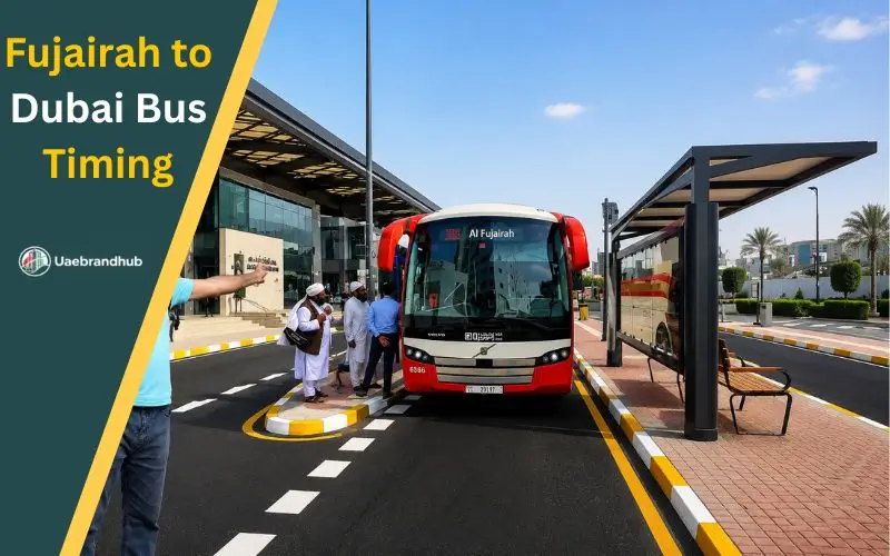 fujairah to dubai bus timing