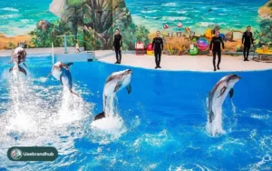 Dolphin Park 