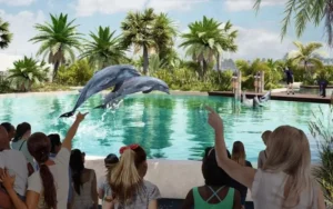Dolphin Park 