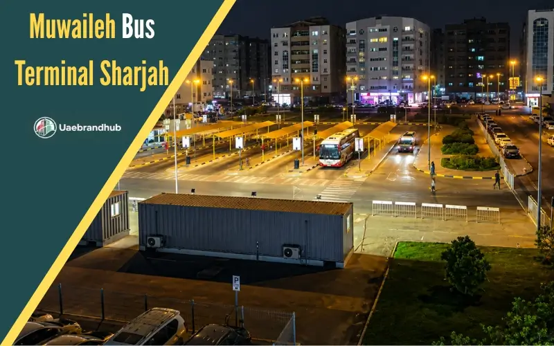 Muwaileh Bus Terminal Sharjah: Complete Guide to Routes, Timings, Fares & Facilities