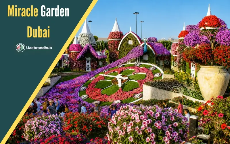 Miracle Garden Dubai