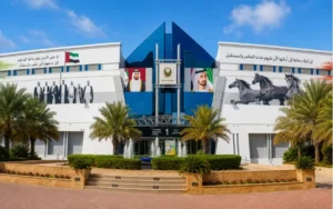 Morocco Cluster International City Dubai
