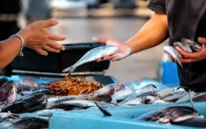 Al Karama Fish Market